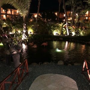 Meet your Posher, Remy